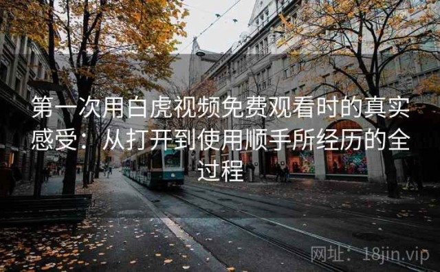 第一次用白虎视频免费观看时的真实感受：从打开到使用顺手所经历的全过程
