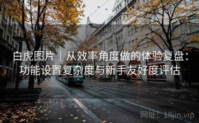 白虎图片｜从效率角度做的体验复盘：功能设置复杂度与新手友好度评估