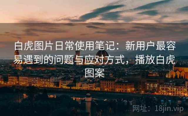 白虎图片日常使用笔记：新用户最容易遇到的问题与应对方式，播放白虎图案