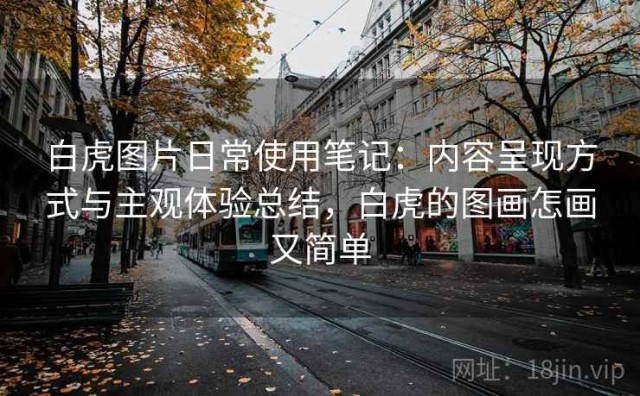 白虎图片日常使用笔记：内容呈现方式与主观体验总结，白虎的图画怎画又简单