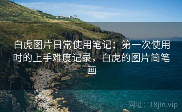 白虎图片日常使用笔记：第一次使用时的上手难度记录，白虎的图片简笔画