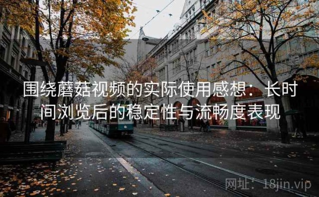 围绕蘑菇视频的实际使用感想：长时间浏览后的稳定性与流畅度表现