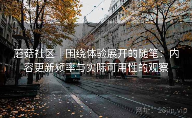 蘑菇社区｜围绕体验展开的随笔：内容更新频率与实际可用性的观察