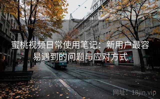 蜜桃视频日常使用笔记：新用户最容易遇到的问题与应对方式