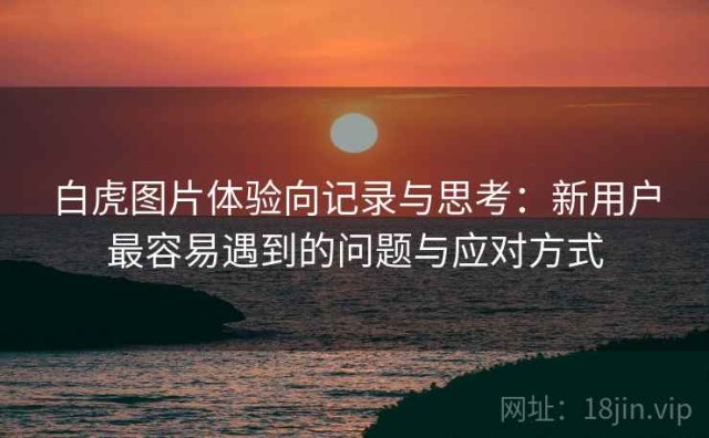 白虎图片体验向记录与思考：新用户最容易遇到的问题与应对方式