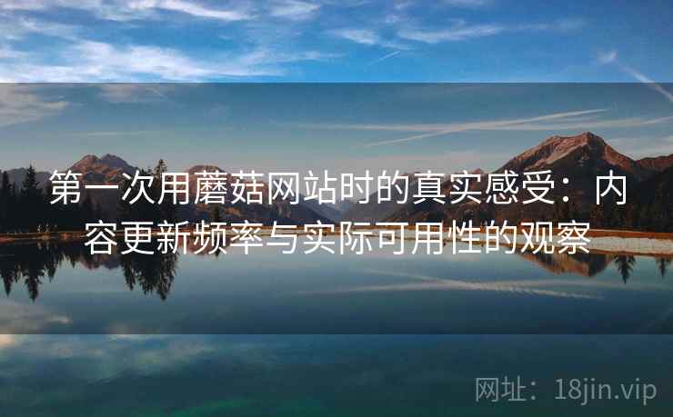 第一次用蘑菇网站时的真实感受：内容更新频率与实际可用性的观察