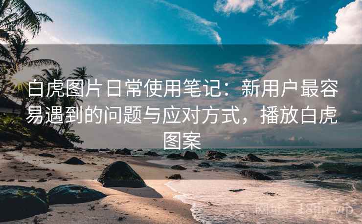 白虎图片日常使用笔记：新用户最容易遇到的问题与应对方式，播放白虎图案