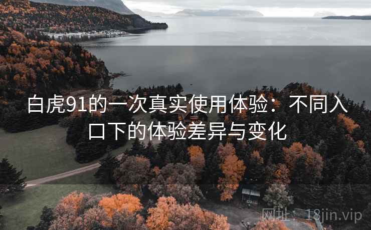 白虎91的一次真实使用体验：不同入口下的体验差异与变化
