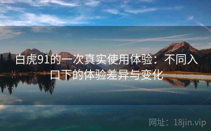 白虎91的一次真实使用体验:不同入口下的体验差异与变化 白虎91的一次真实使用体验:不同入口下的体验差异与变化