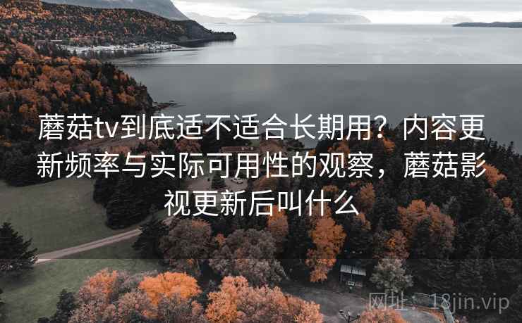 蘑菇tv到底适不适合长期用？内容更新频率与实际可用性的观察，蘑菇影视更新后叫什么