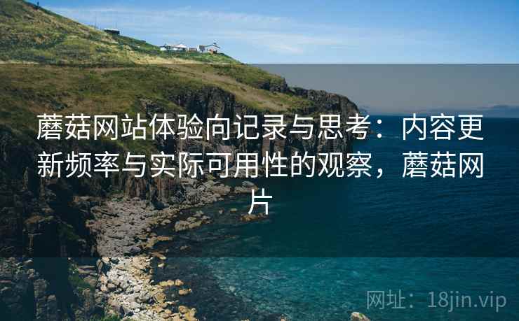 蘑菇网站体验向记录与思考：内容更新频率与实际可用性的观察，蘑菇网片