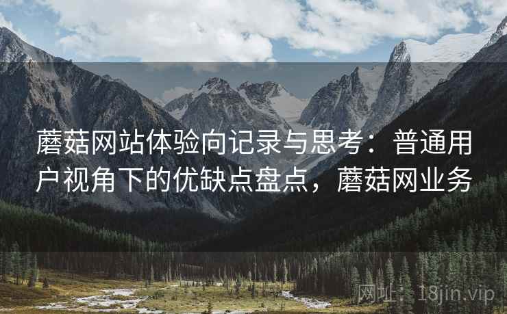 蘑菇网站体验向记录与思考：普通用户视角下的优缺点盘点，蘑菇网业务