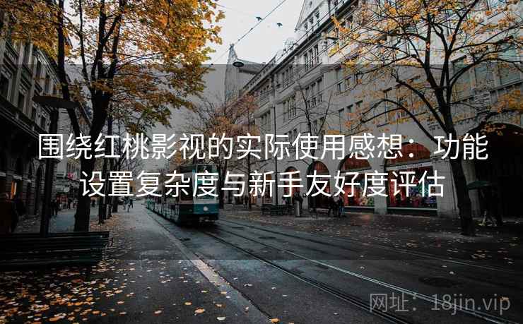 围绕红桃影视的实际使用感想：功能设置复杂度与新手友好度评估