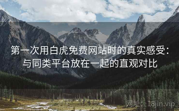 第一次用白虎免费网站时的真实感受：与同类平台放在一起的直观对比