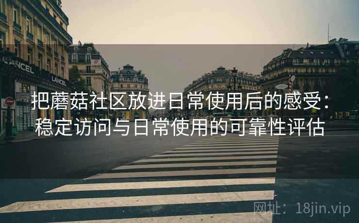 把蘑菇社区放进日常使用后的感受：稳定访问与日常使用的可靠性评估