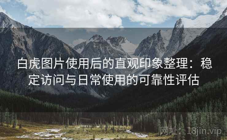 白虎图片使用后的直观印象整理：稳定访问与日常使用的可靠性评估