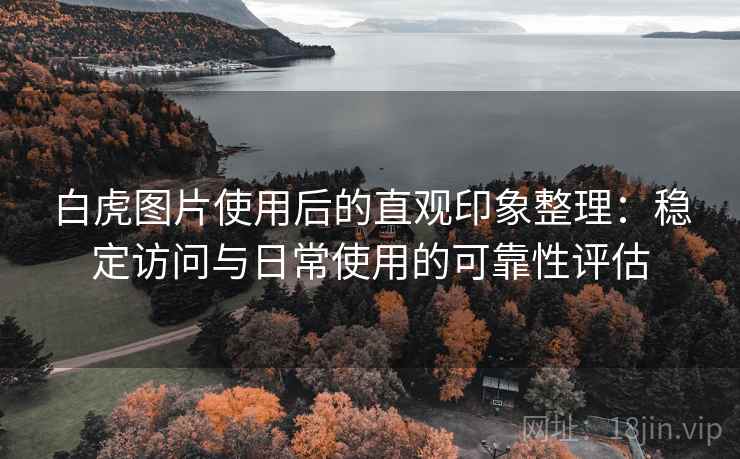 白虎图片使用后的直观印象整理：稳定访问与日常使用的可靠性评估
