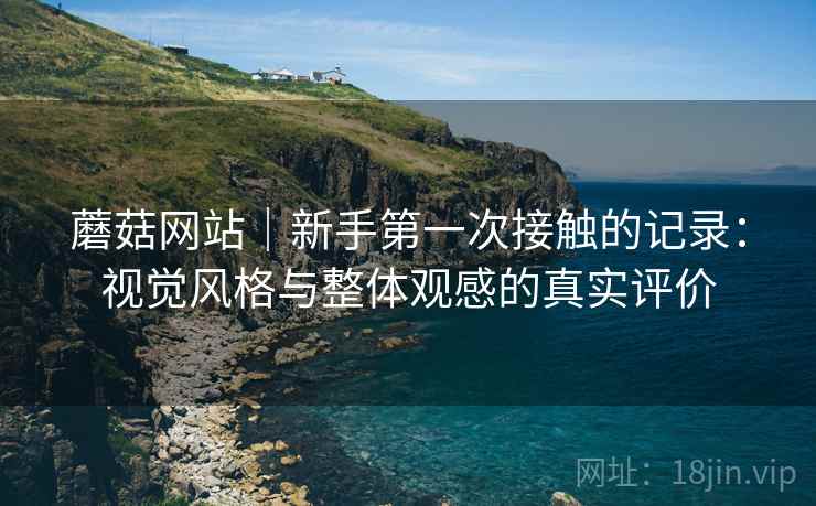蘑菇网站｜新手第一次接触的记录：视觉风格与整体观感的真实评价
