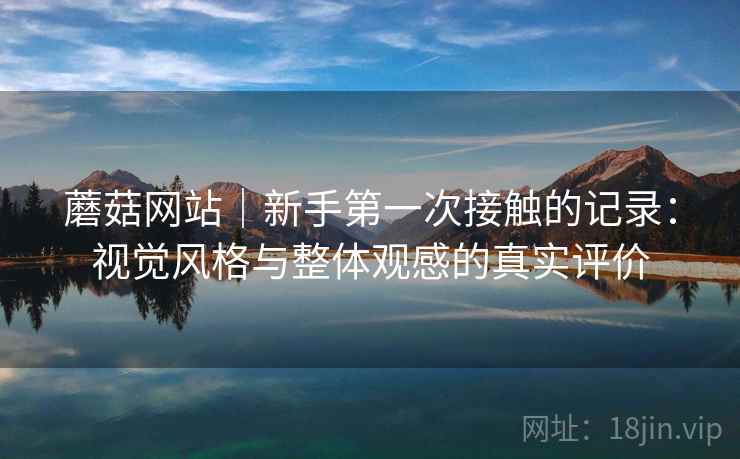蘑菇网站｜新手第一次接触的记录：视觉风格与整体观感的真实评价
