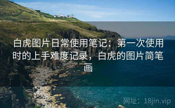 白虎图片日常使用笔记：第一次使用时的上手难度记录，白虎的图片简笔画